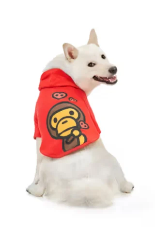 HOME 73 bape-hoodies.net image