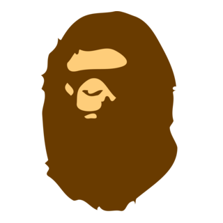 BAPE Hoodie Logo & Favicon